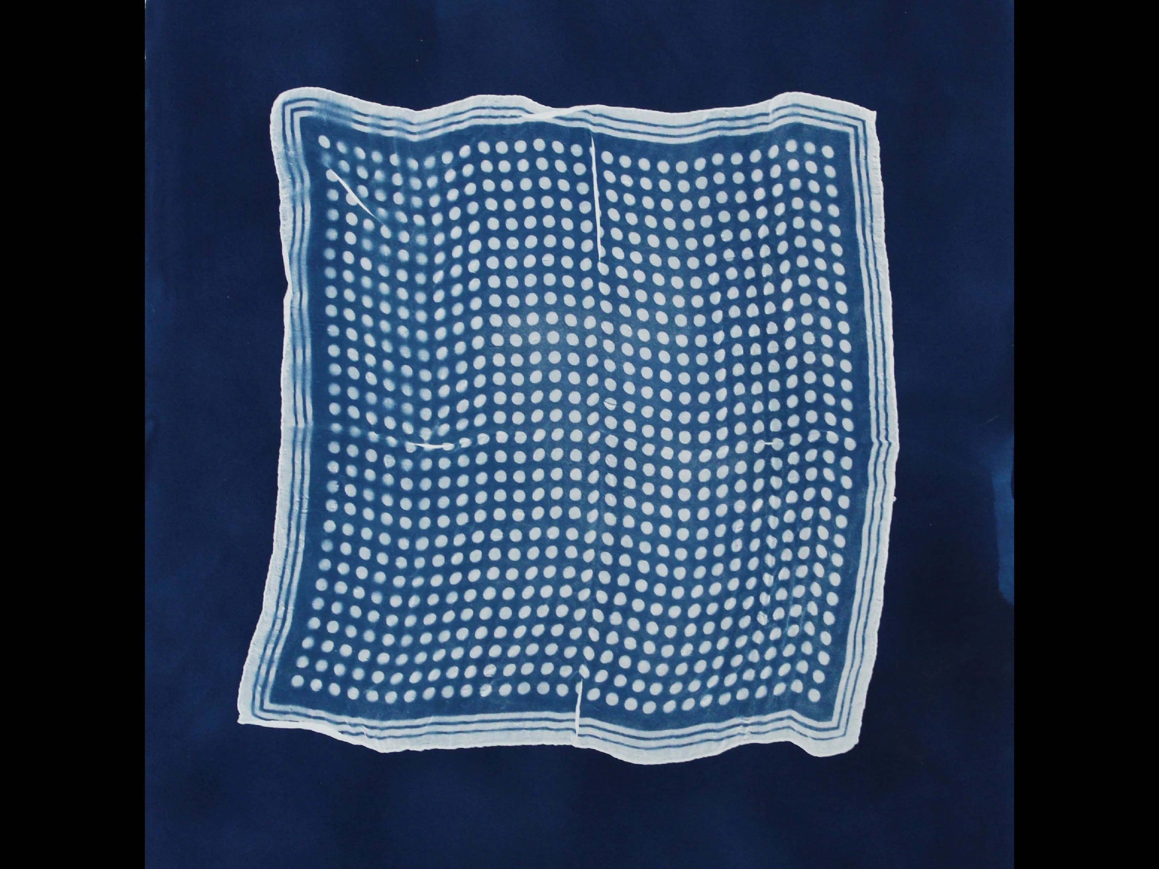 Andy Julo, Piccoli Pois, 2025, cyanotype, 20" x 20"