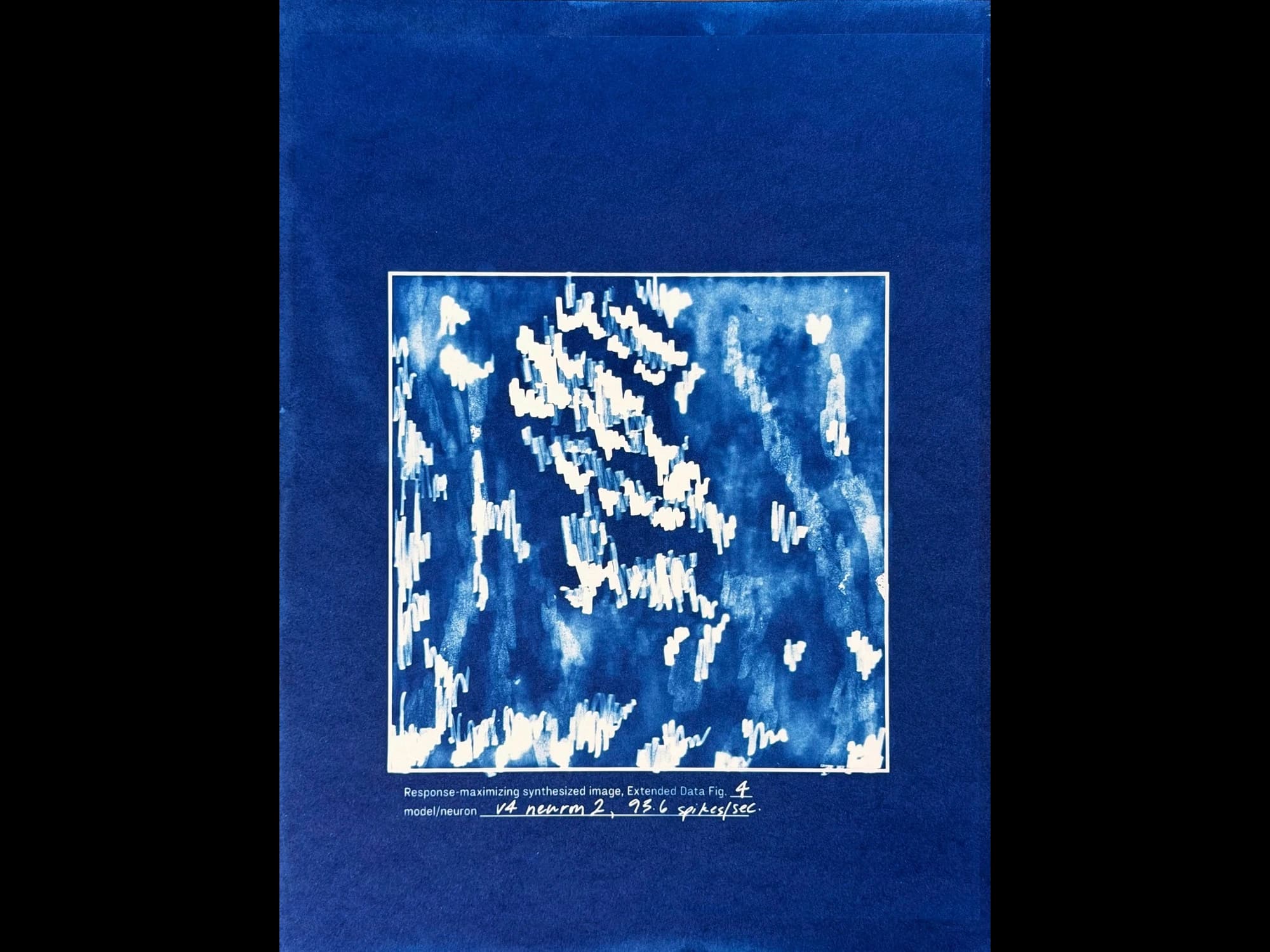 Christine Lorenz, Pattern Preference Studies (Learning from WE, PE, and RA), 2026, thirteen cyanotype prints, each 9" x 12"