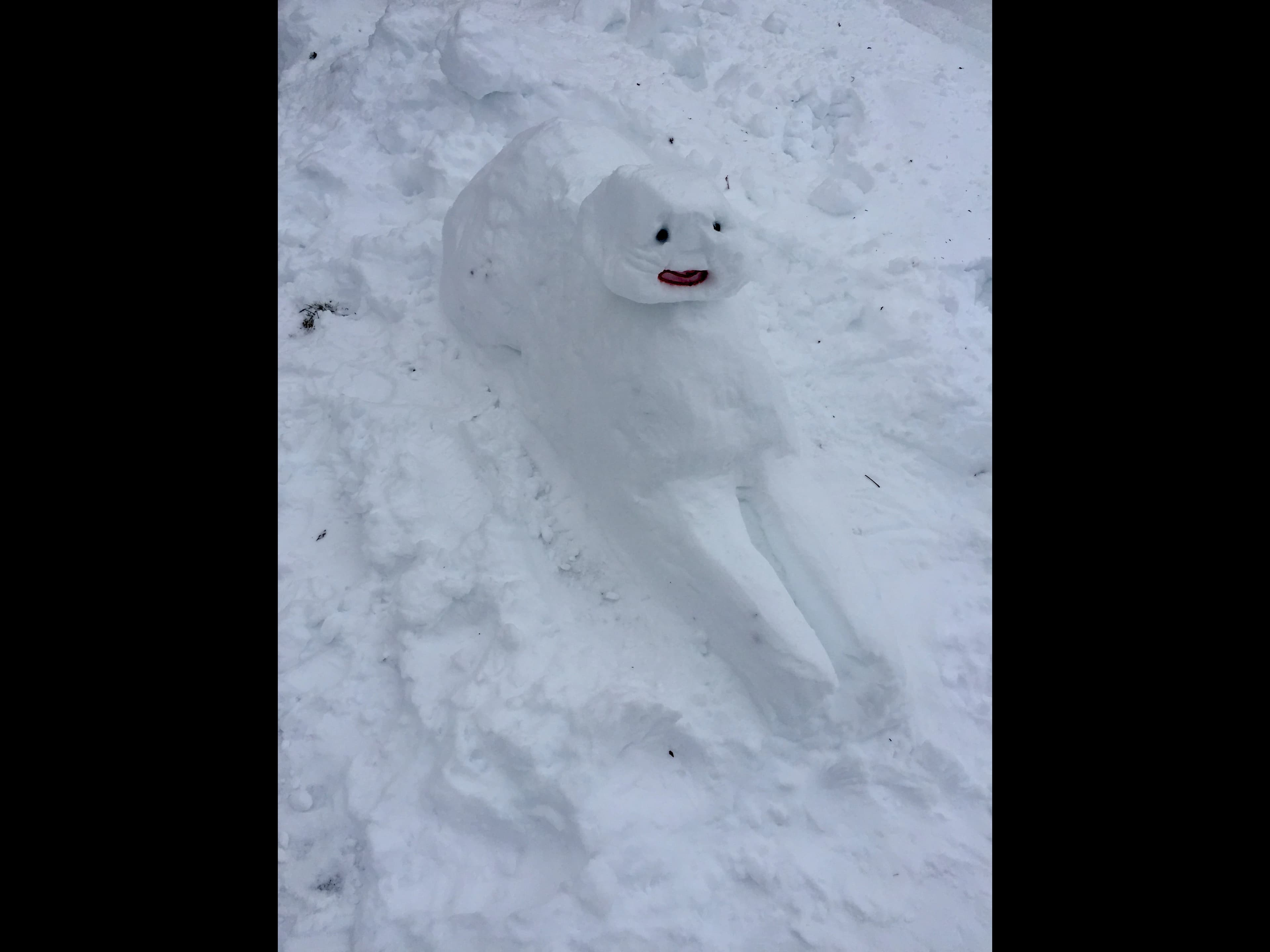 SNOW PIX 26 - image 1