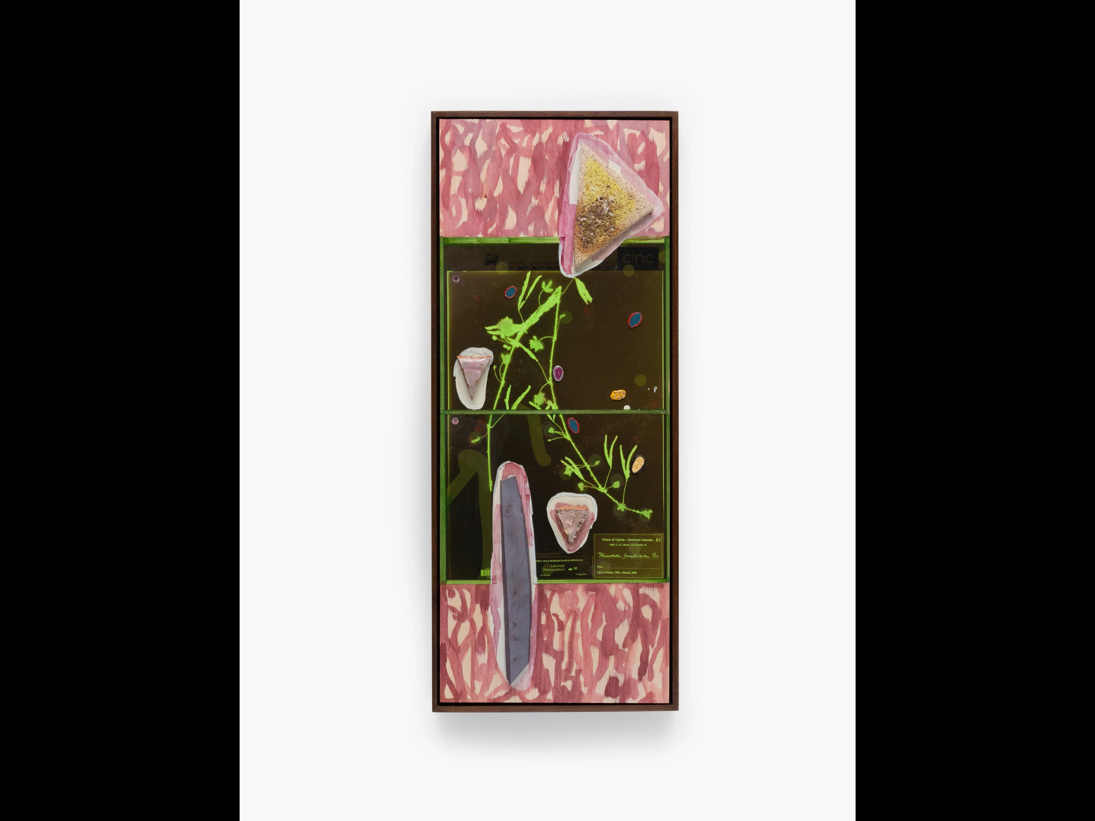 Crystal Z Campbell Mimosa Pudica: Samoan Islands, 2026