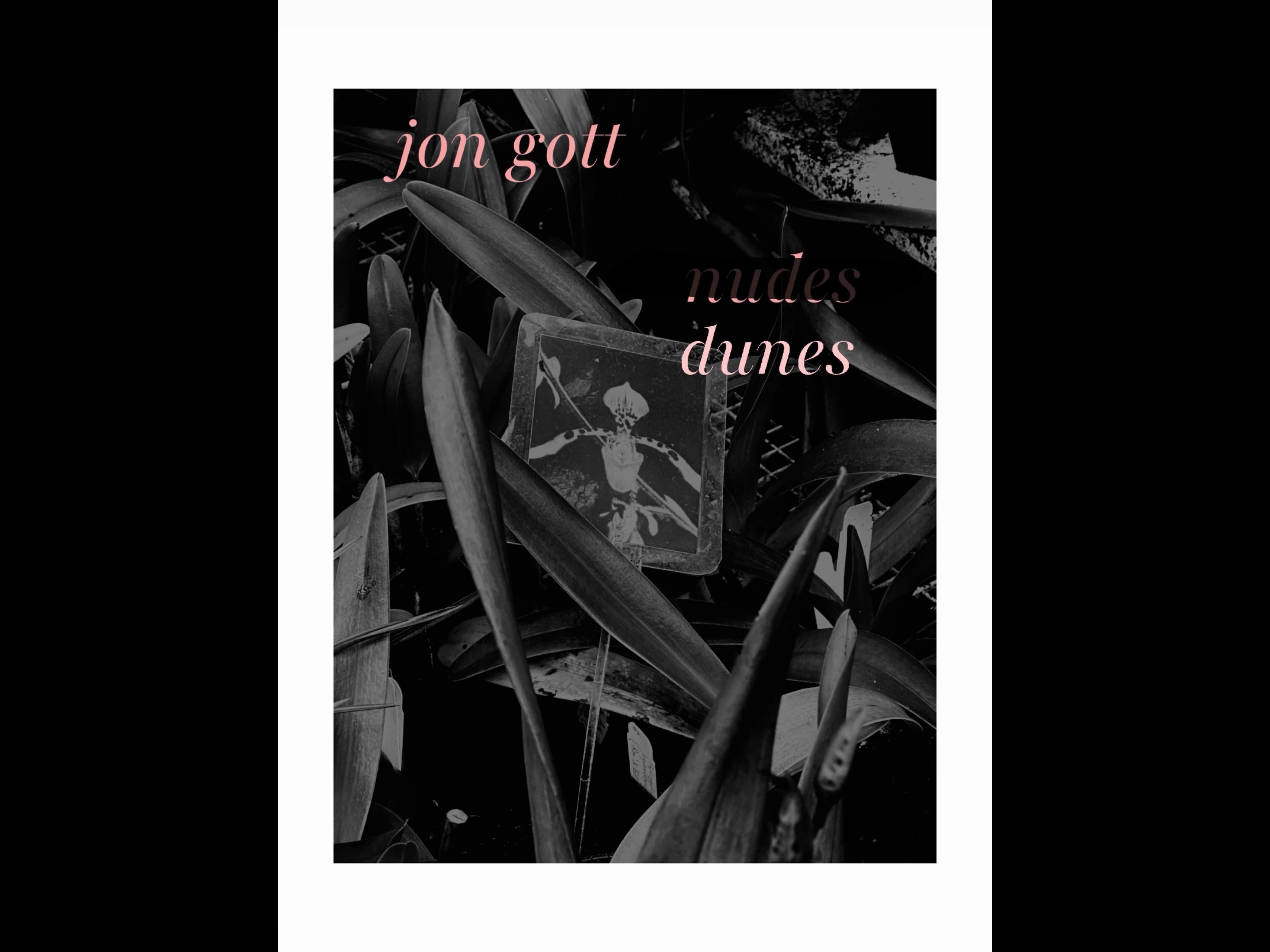 Dunes - image 1