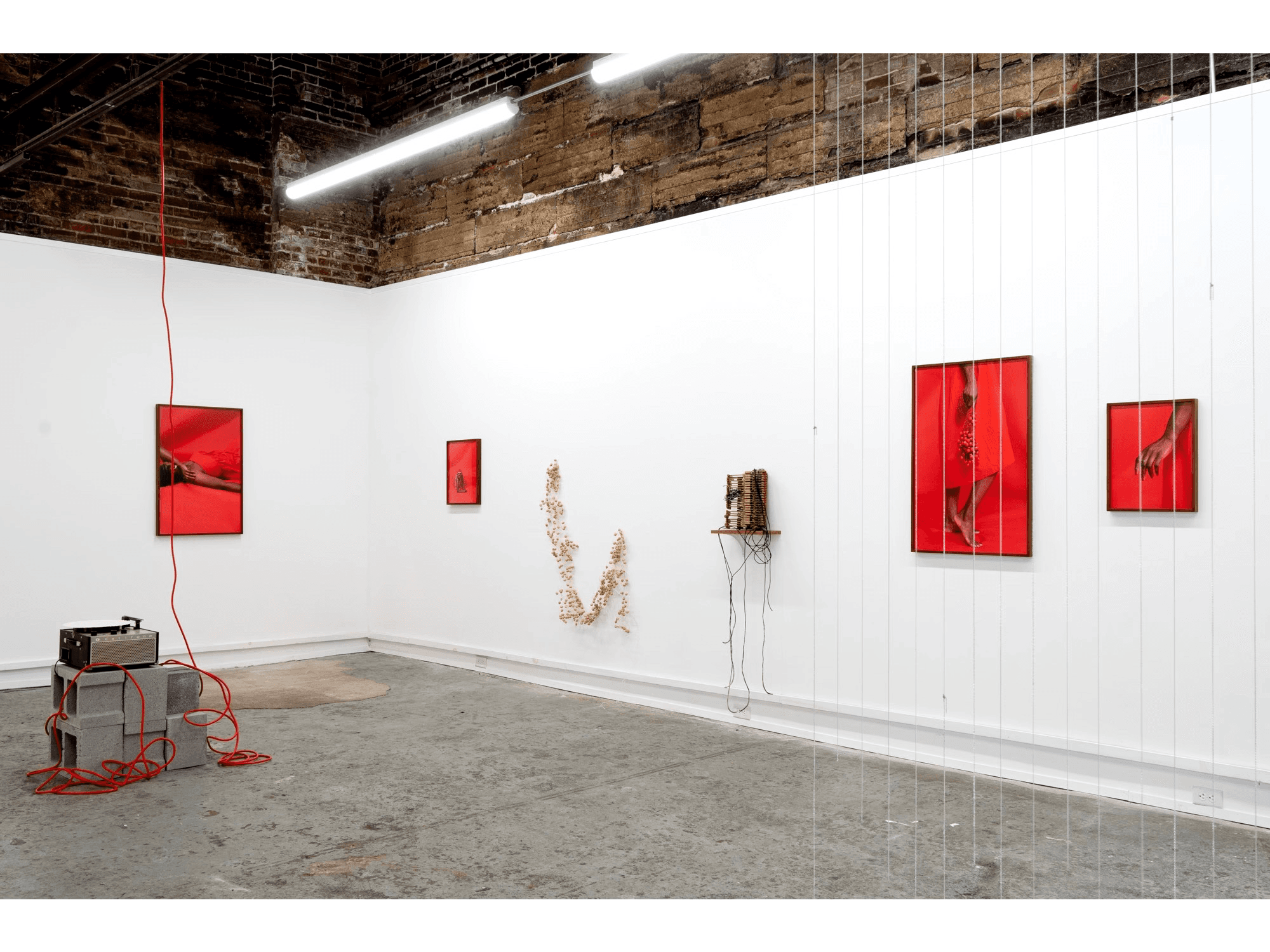 The Language of Color - image 2