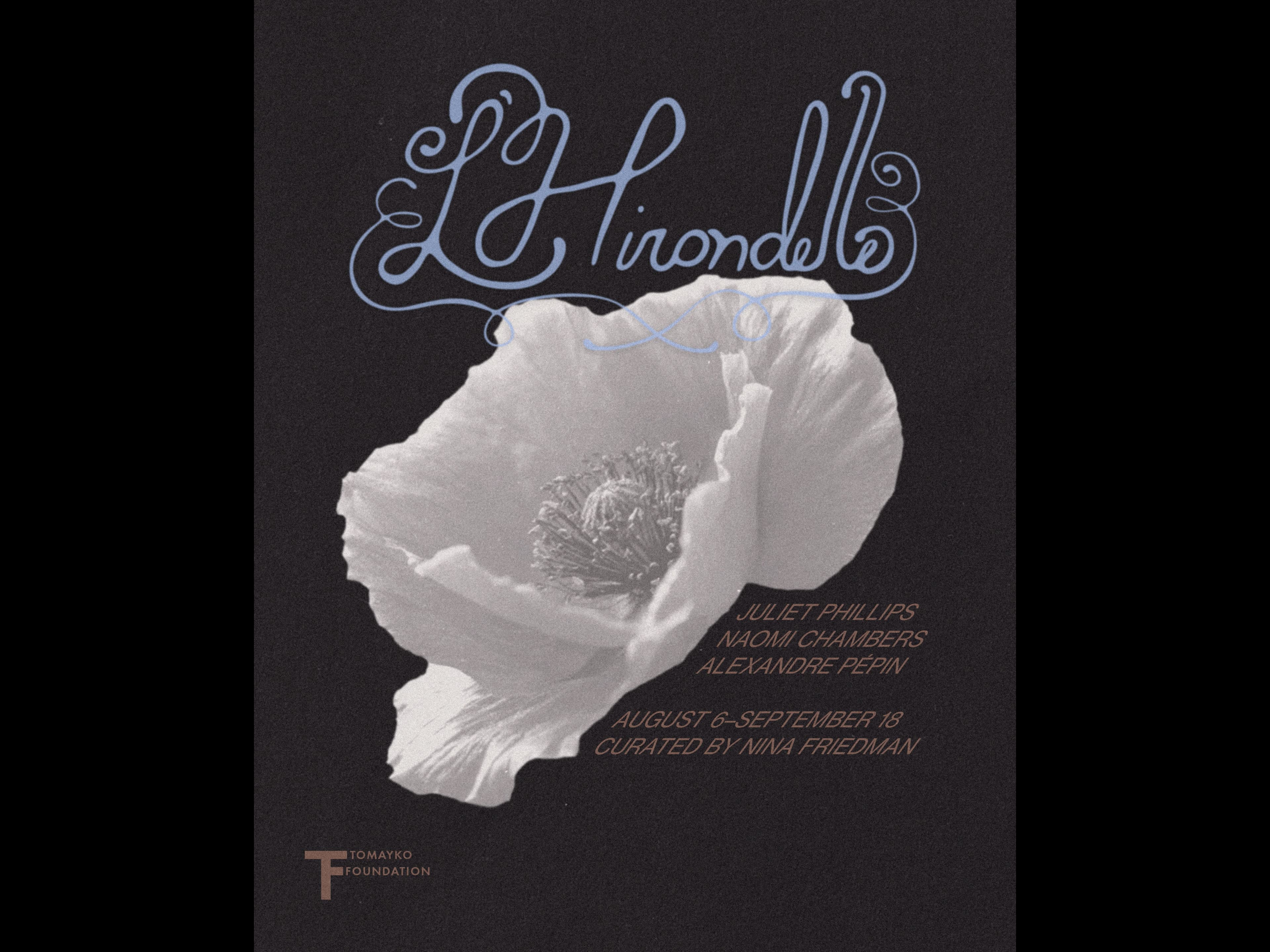 L'Hirondelle - image 1
