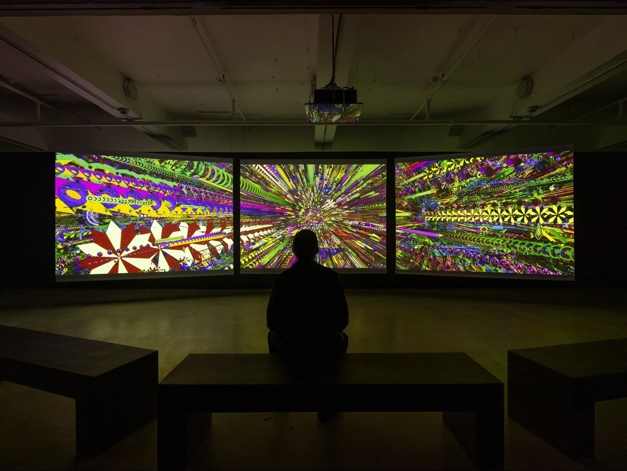 Emergent Realities - image 1